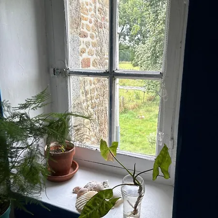 11 Steps Rustic Charming Flat In Normandy דירה *